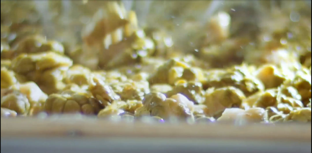 �ƶ�����3118(�й�)�ٷ���վ